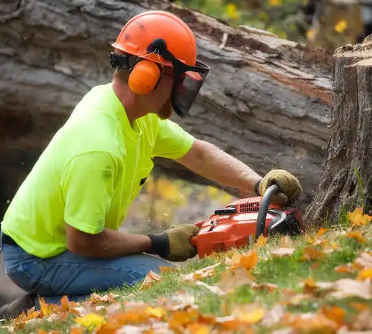 tree services Mountainside